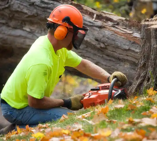 tree services Mount Sinai